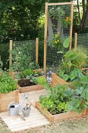 Mini kebun belakang rumah 6 hrs · hormon pengakaran ( thailand root stimulation) sesuai digunakan untuk rendam keratan dan disapu di batang pokok tempat tut hendak dibuat. 7 Inspirasi Tanaman Sayur Di Kebun Rumah Mungil Penuh Manfaat Rumah123 Com