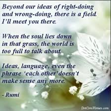 Somewhere Between Right And Wrong There Is A Garden I Will Meet You There Rumi Quotes Done Quotes Rumi