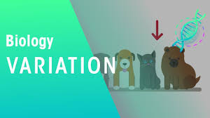 Studying biology in high school, college or university, many students need to answer questions in various biology topics that they may find incomprehensible. Variation Genetics Biology Fuseschool Youtube
