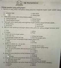 Check spelling or type a new query. Ipa Kelas 8 Tolong Bantuin Ya Brainly Co Id