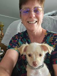 Rescue Dog Adoption Stories in San Diego