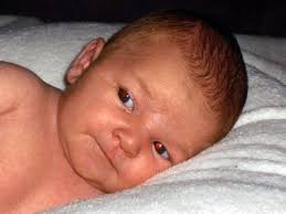 Sebastian William Short