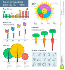 Gardening Plant Infographic Stock Vector Illustration Of