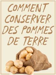 Comment Conserver Des Pommes De Terre Pomme De Terre Pomme Terre