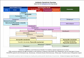 great simplified chart on antibiotic sensitivity overview