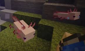 This currently supports all the hostile mobs as stated by minecraft gamepedia. Axolotls Mod For Minecraft Pe For Android Apk Download