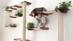 Cat trees are highly beneficial to your cat's mental and physical health. These Modern Cat Trees Will Entertain Your Cat And Enhance Your Decor
