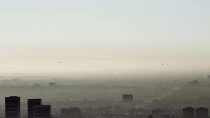 Tradcat #apolitical #prolife #idonotconsent #nomad; Exhibition Fiona Tan Borch Gallery Art At Berlin