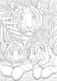 Pin On Free Adult Coloring Printables