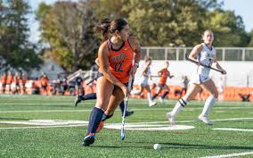 Image result for Ochna hackarsii