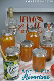 As some of you might remember, my mothers side of the family is from the mountains of kentucky and tennessee. Apple Pie Moonshine With Real Apples The Farmwife Drinks