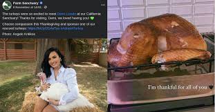 She thinks that because she was in rehab shes great. Demi Lovato Called Hypocrite For Hugging Turkeys Before Thanksgiving