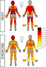 Select from alibaba.com's fresh collection of innovative and safe hot oral at reasonable prices. Female Thermal Sensitivity To Hot And Cold During Rest And Exercise Sciencedirect