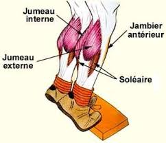 Epingle Sur Exercice De Salon