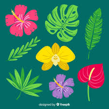 Next step, draw the center stamen which is thick, and be sure that it has some pollen balls at the tip. Free Vector Hand Drawn Tropical Flowers And Leaves