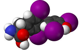 L'endocrinologo a pisa dr lippi ha un'esperienza pluriennale grazie alla quale affronta e cura tutte le maggiori patologie tiroidee ed endocrinologi. In Cosa Consiste La Visita Endocrinologica Amico Dottore