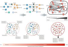 Apple tv — with the apple tv app, apple tv+, and apple tv 4k — puts you in control of what you watch, where you watch, and how you watch. Adapting To Stress Chaperome Networks In Cancer Nature Reviews Cancer