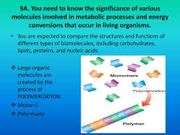 Biology staar review i draft. Biology Staar Review Session 5 Biomolecules Ppt Download