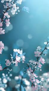 Fresh and stylish background, green lines background, green background pictures png. Sakura Wallpaper Flowers Photography Wallpaper Blue Flower Wallpaper Photography Wallpaper