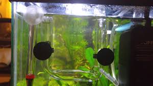 Check spelling or type a new query. Diy Air Powered Surface Skimmer Plantedtank