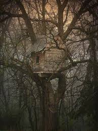 Pin By Jori Kuikka On Treehouses Tree House Beautiful Tree Houses