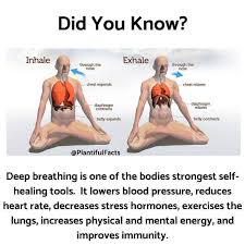 Health Fitness Tips On Instagram To Experience The Health Benefits Of Deep Breathing It Is Equally Deep Breathing Exercises Yoga Breathing Exercise