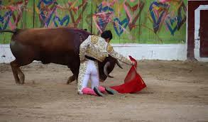 Temporada taurina en Bogotá: así fue la última corrida en la capital |  Antena 2