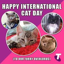 It is a day to raise awareness for cats and learn about ways to help and protect them. Telstra On Twitter Happy International Cat Day To All The Cats And Cat Lovers Out There Http T Co Oea7heuolm Twitter