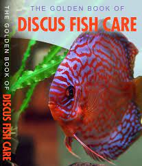 The Golden Book Of Discus Fish Care Discus Fish Fish Fish Care
