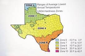 Week 6 With Neil Sperry Consider Hardiness When Choosing New Plants Plant Hardiness Zone Map Growing Zones Map Plant Hardiness Zone