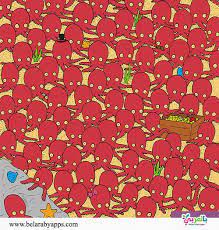 أوراق عمل اختبار دقة الملاحظة والتركيز لدى الاطفال بالعربي نتعلم can you find it find the hidden objects hidden pictures