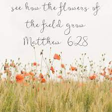 Check spelling or type a new query. See How The Flowers Of The Field Grow Matthew 6 28 God Is Good Cover Photos Facebook Cover