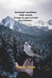 Gulen Sarkislali Adli Kullanicinin Durum Sozleri Panosundaki Pin Guzel Soz Komik Tumblr Edebiyat
