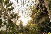 Image result for free visite now