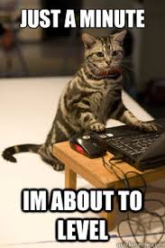 Level Up Cat Memes Quickmeme