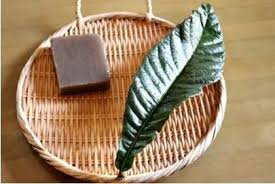 びわ こんにゃく湿布 こんにゃく 豆知識 自然療法