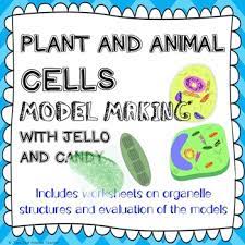Activity review animal cell structure and function. Cell Organelles Plant Animal Structure And Function Lab Activity Worksheet