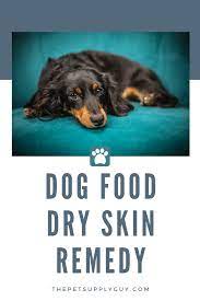 Best Dog Food For Shedding And Dry Skin The Pet Supply Guy Best Dog Food Dog Food Recipes Food For Dry Skin