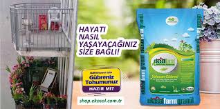 Hayati Nasil Yasayacaginiz Size Bagli Gubreniz Tohumunuz Hazir Adrese Ucretsiz Teslim Tarim Bitki Tohum