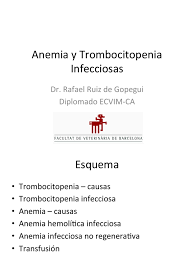 This is due to a low number of blood cell fragments called platelets. Anemia Y Trombocitopenia Patologia Clinica Especialidades Medicas