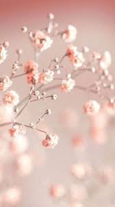 Comment Planifier Ses Projets Et Devenir Une Personne Productive Durant Ramadan Mon Planner D Fond D Ecran Colore Fond D Ecran Telephone Photographie De Fleur