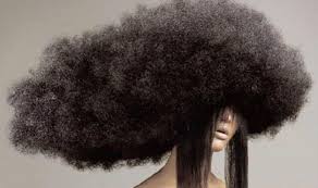Weatherproof Looks Http Fluff Indiquehair Com Magazine 2017 7 7 Weatherproof Looks Hair Styles Hair Humor Hair Day