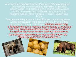 Állatok növények lengyelország éghajlata miniszterelnök: Ppt Lengyelorszag Powerpoint Presentation Free Download Id 5313319