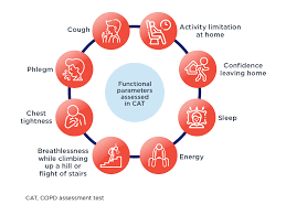 Image result for COPD Assessment Test