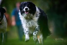 Shop the top 25 most popular 1 at the best prices! Come And Join Our Family Spend Time With Animals Learn New Skills And Live The Beautiful Life In The Dordogne France