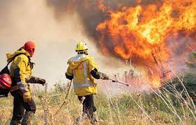 Je crois peu aux hasards. Faits Divers En Turquie Un Feu De Foret Menace Des Habitations