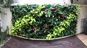 Diy Vertical Garden Green Wall With Automatic Irrigation Youtube Vertical Garden Plants Vertical Garden Vertical Garden Diy