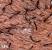Hair Bumps On Pubic Area Female
