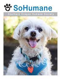 With the holiday season upon us, we are looking. Home Sohumane