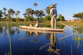 Maybe you would like to learn more about one of these? Okavango Delta The Complete Guide